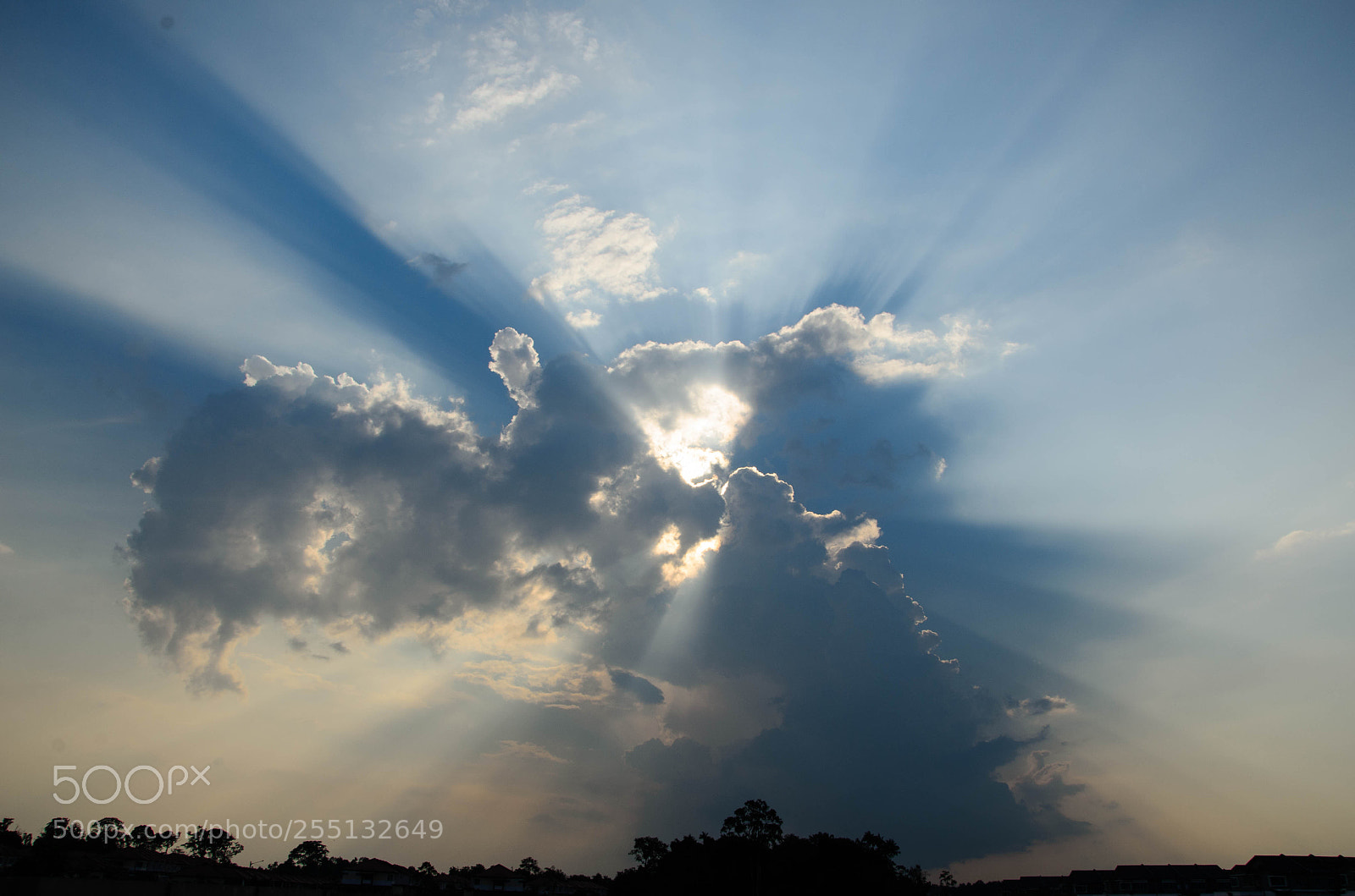 Nikon D7000 sample photo. Stunning light by the photography