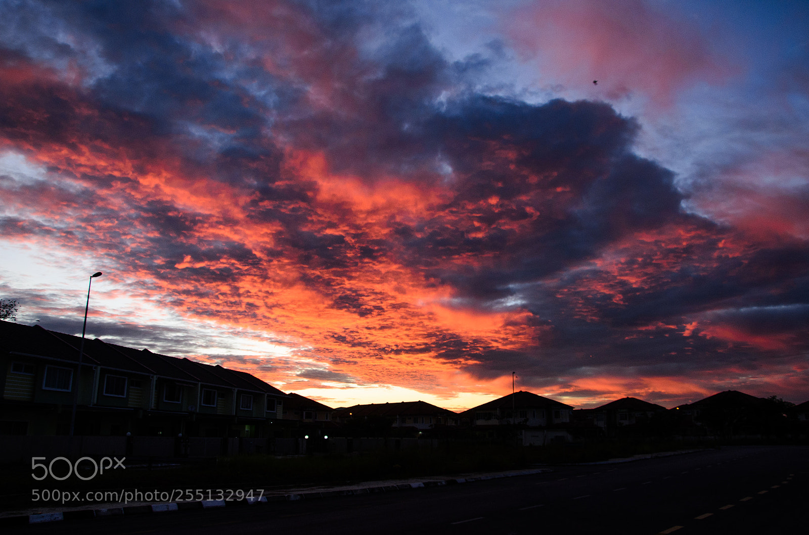 Nikon D7000 sample photo. Nature is a amazing photography