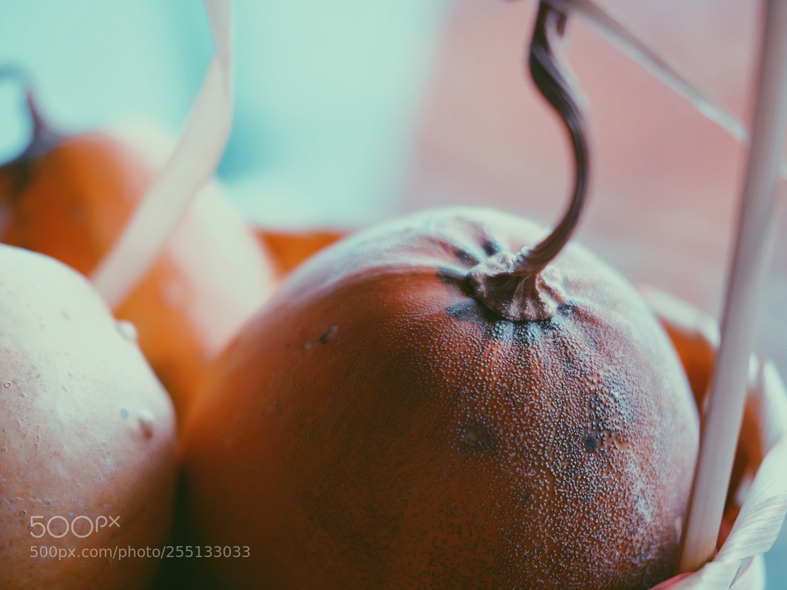 Fujifilm X-T1 sample photo. Pumpkin photography