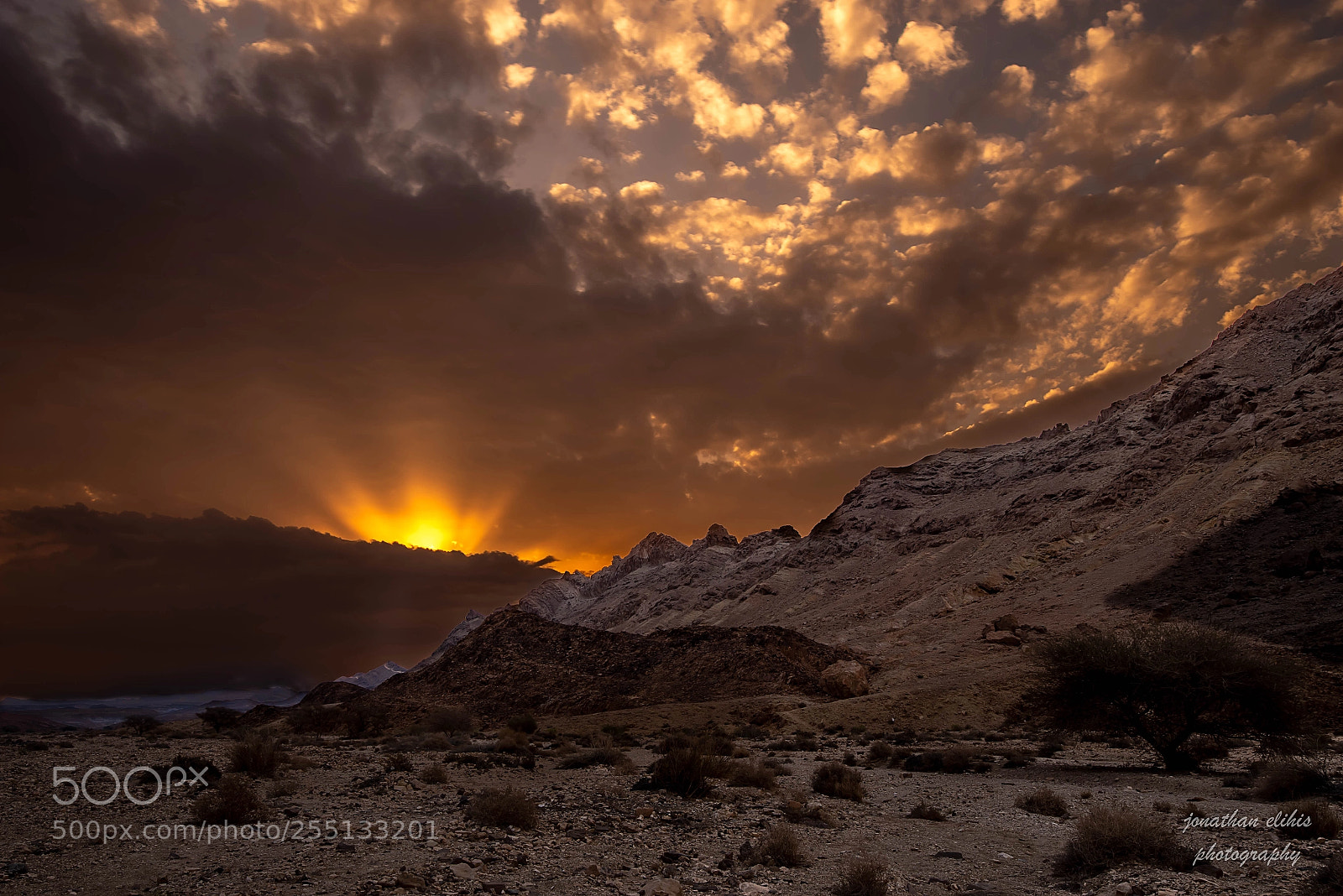 Pentax K-1 sample photo. Desert rays photography