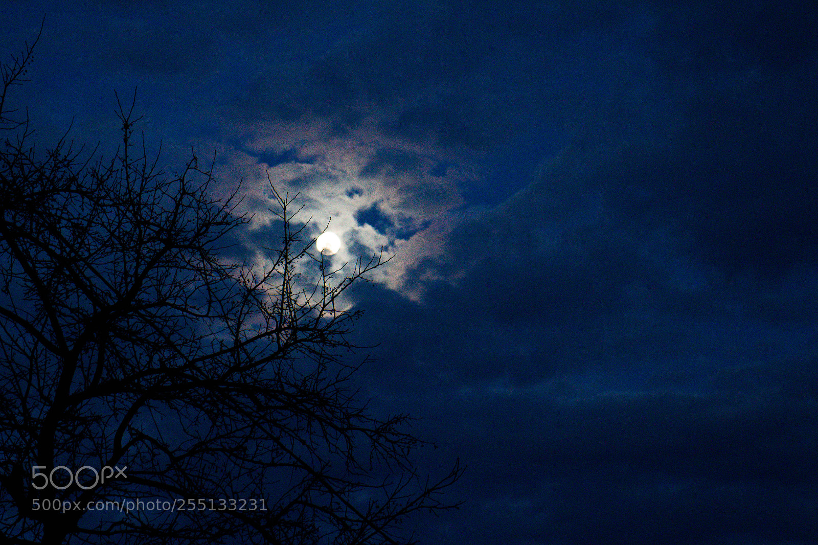 Canon EOS M sample photo. Luna mood photography
