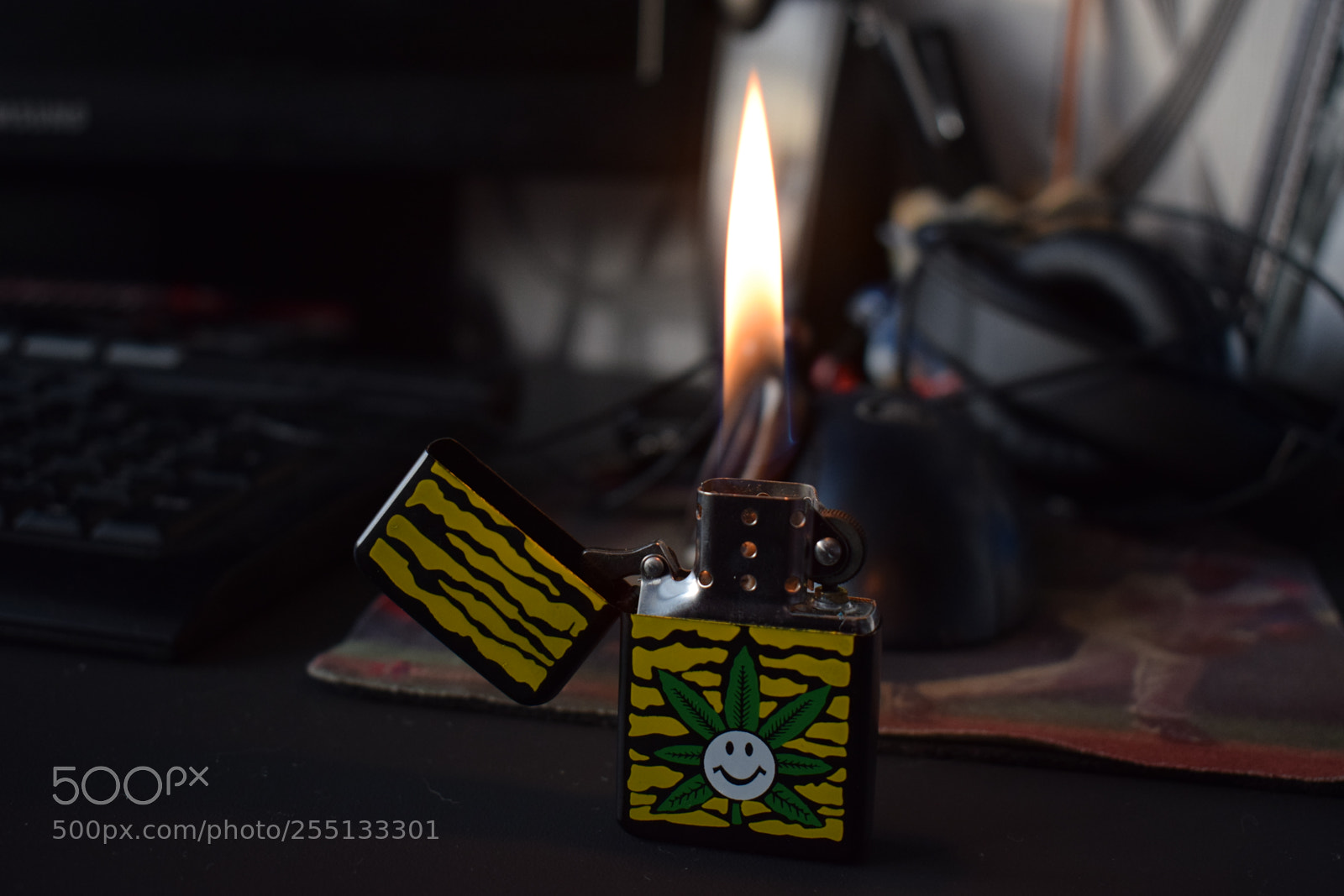 Nikon D3300 sample photo. Warm light photography