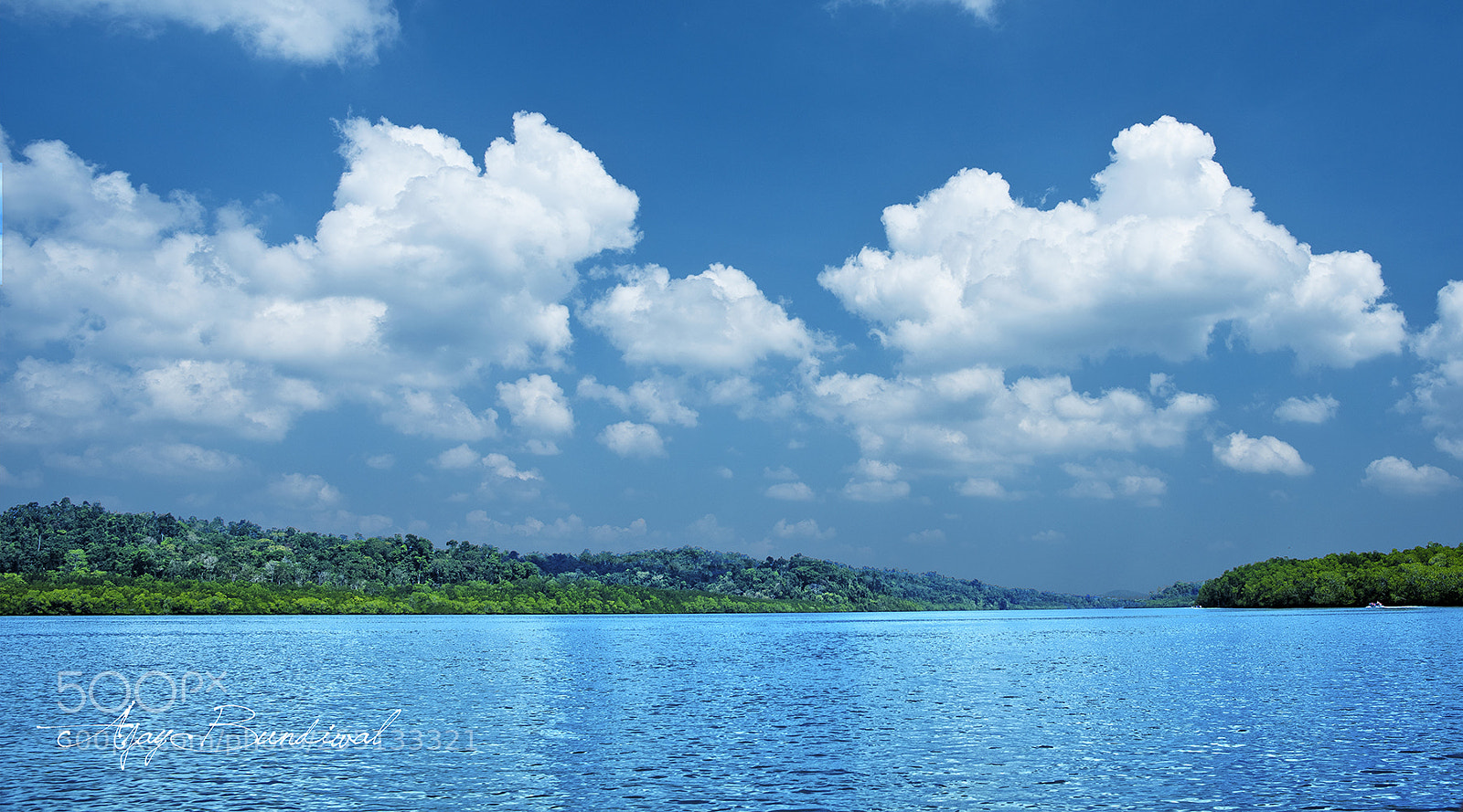 Nikon D810 sample photo. Havelock photography