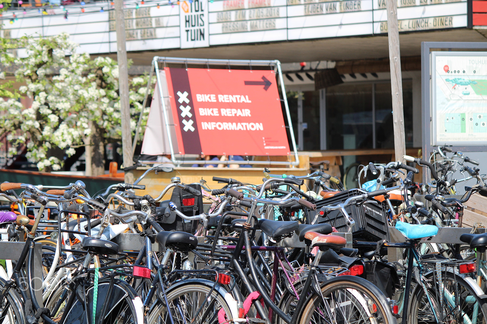 Canon EF-S 55-250mm F4-5.6 IS sample photo. Convenience photography