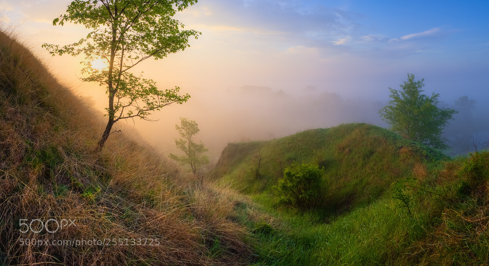 Fujifilm X-E1 sample photo. Flooded with fog and photography