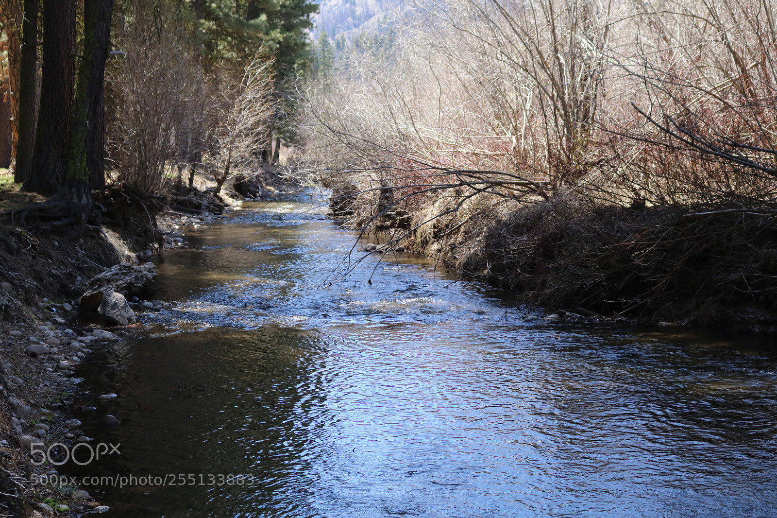 Canon EOS 750D (EOS Rebel T6i / EOS Kiss X8i) sample photo. Untitled photography