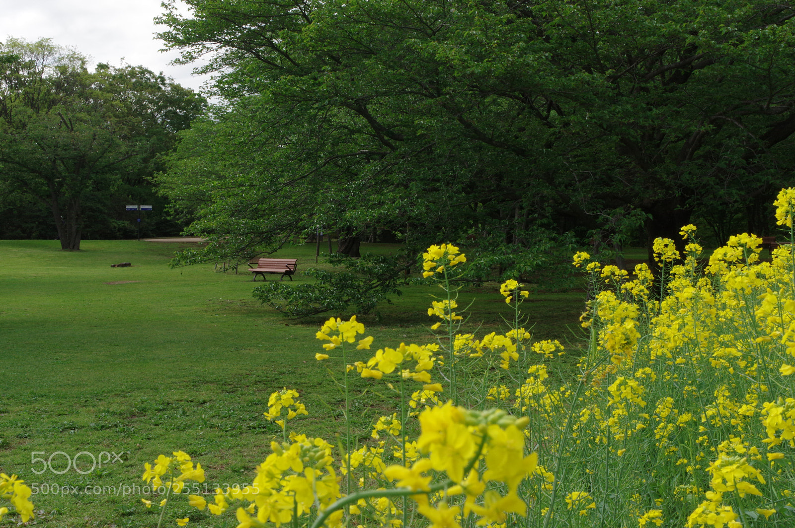 Pentax K-3 sample photo. “why shoudn’t i......” photography