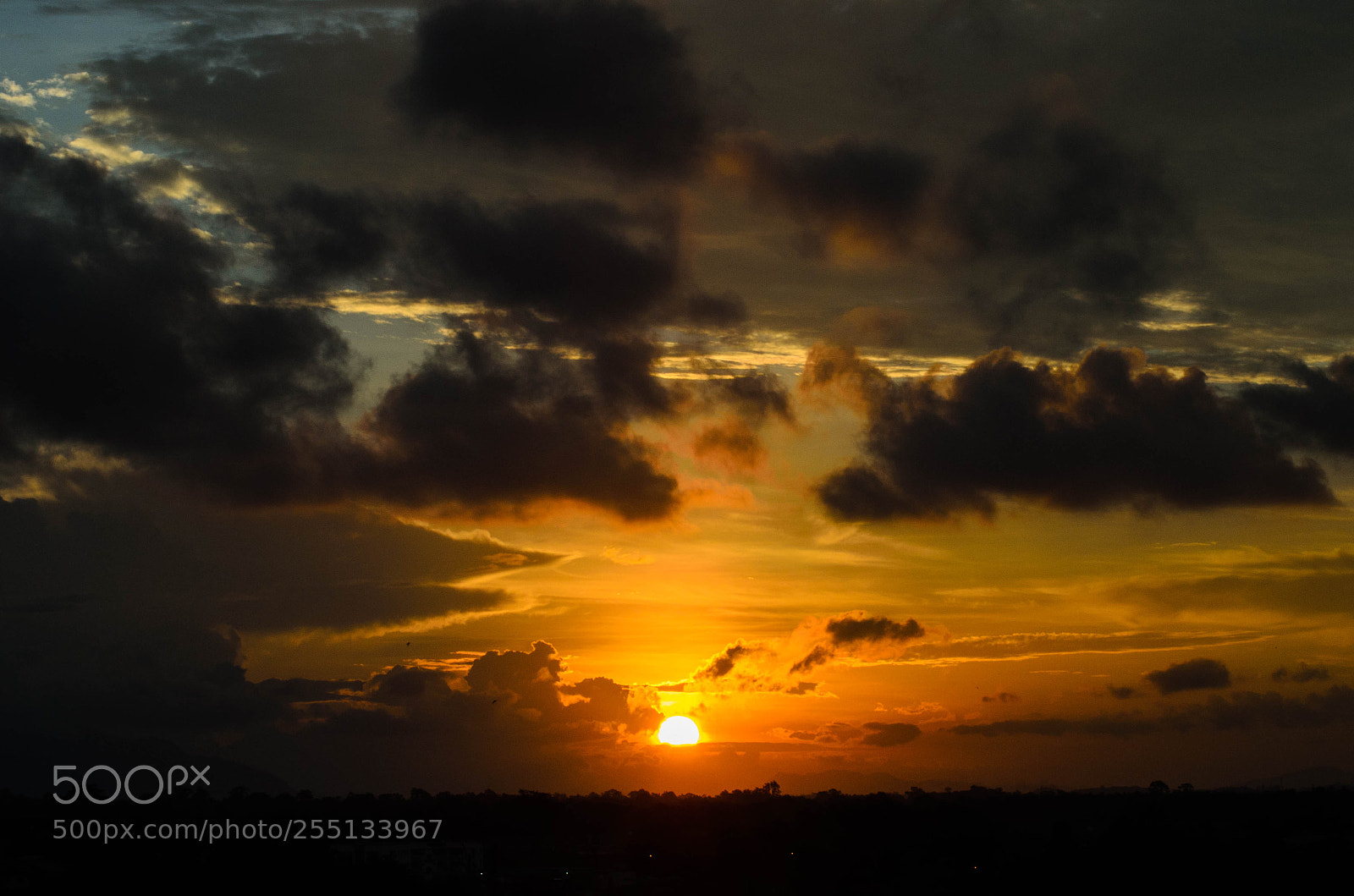 Nikon D7000 sample photo. Sunset on the roof photography