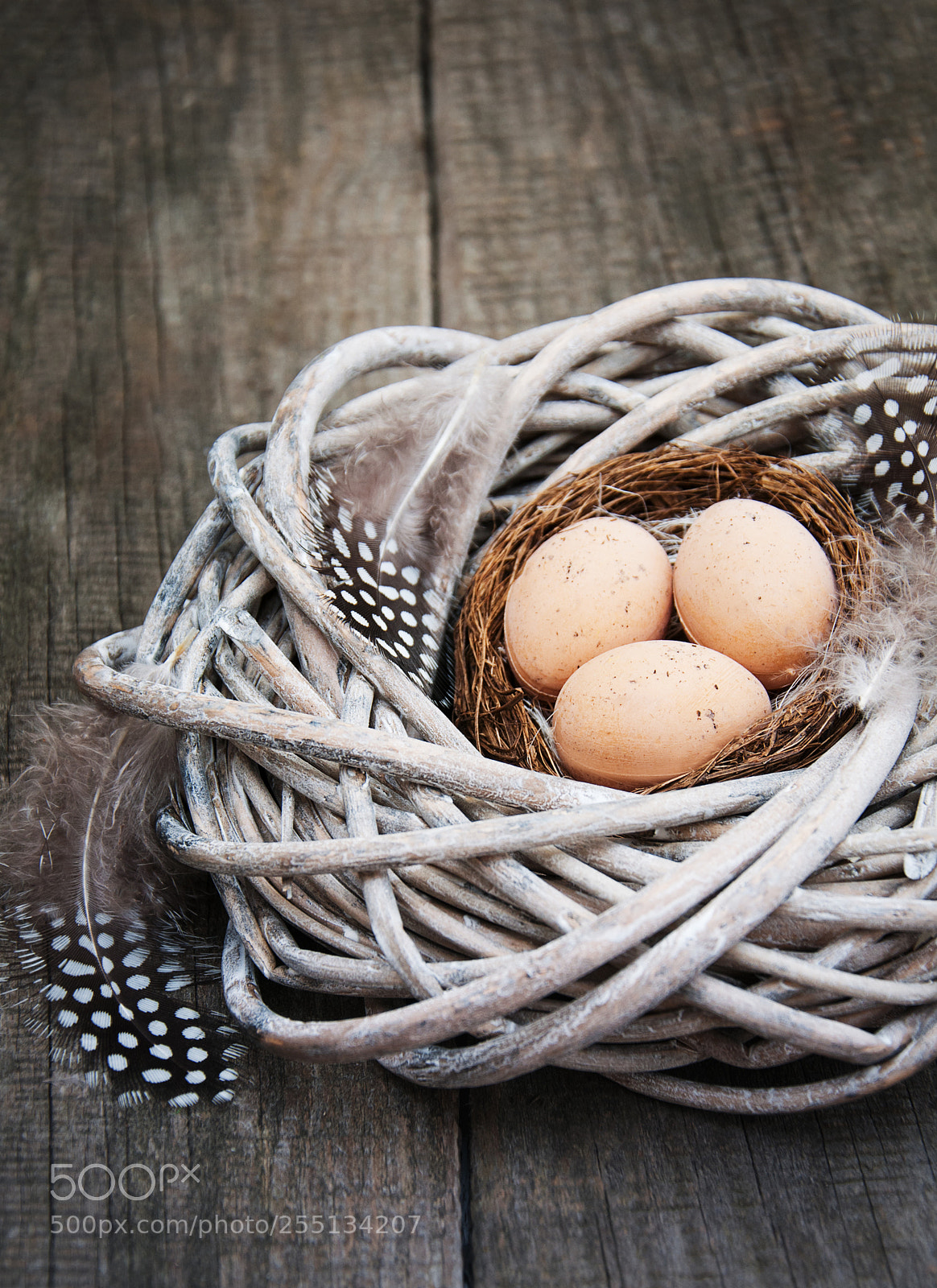 Nikon D90 sample photo. Easter eggs in a photography