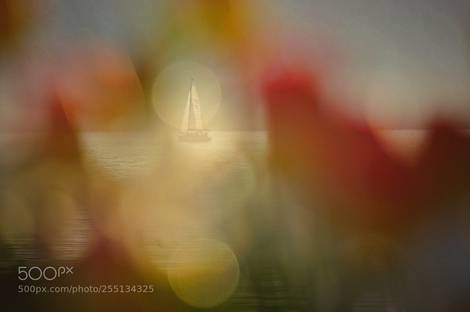 Sony SLT-A77 sample photo. Sailing mood photography