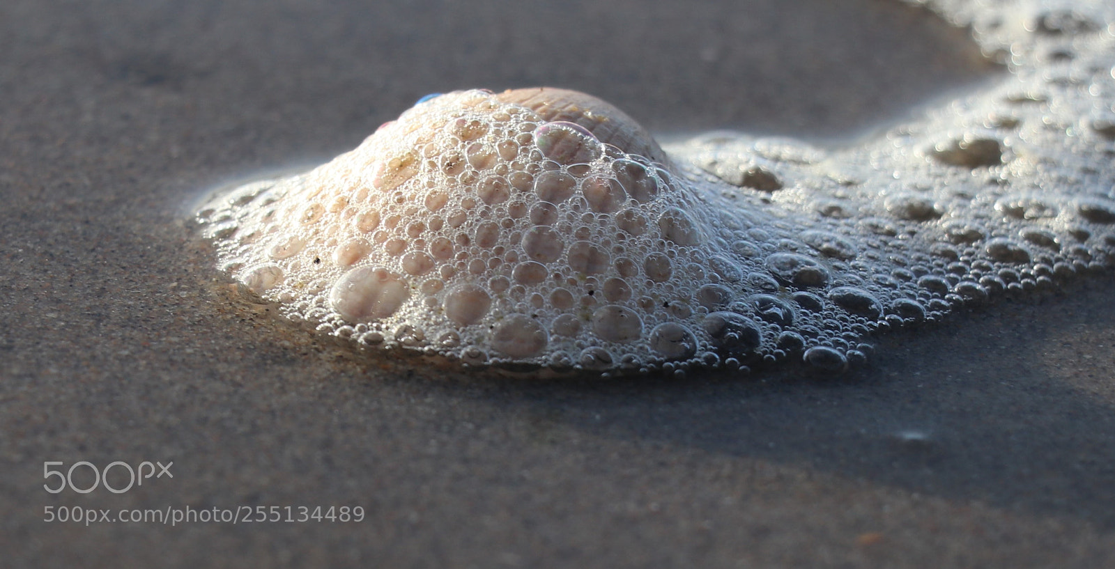 Canon EOS 80D sample photo. In lace... photography