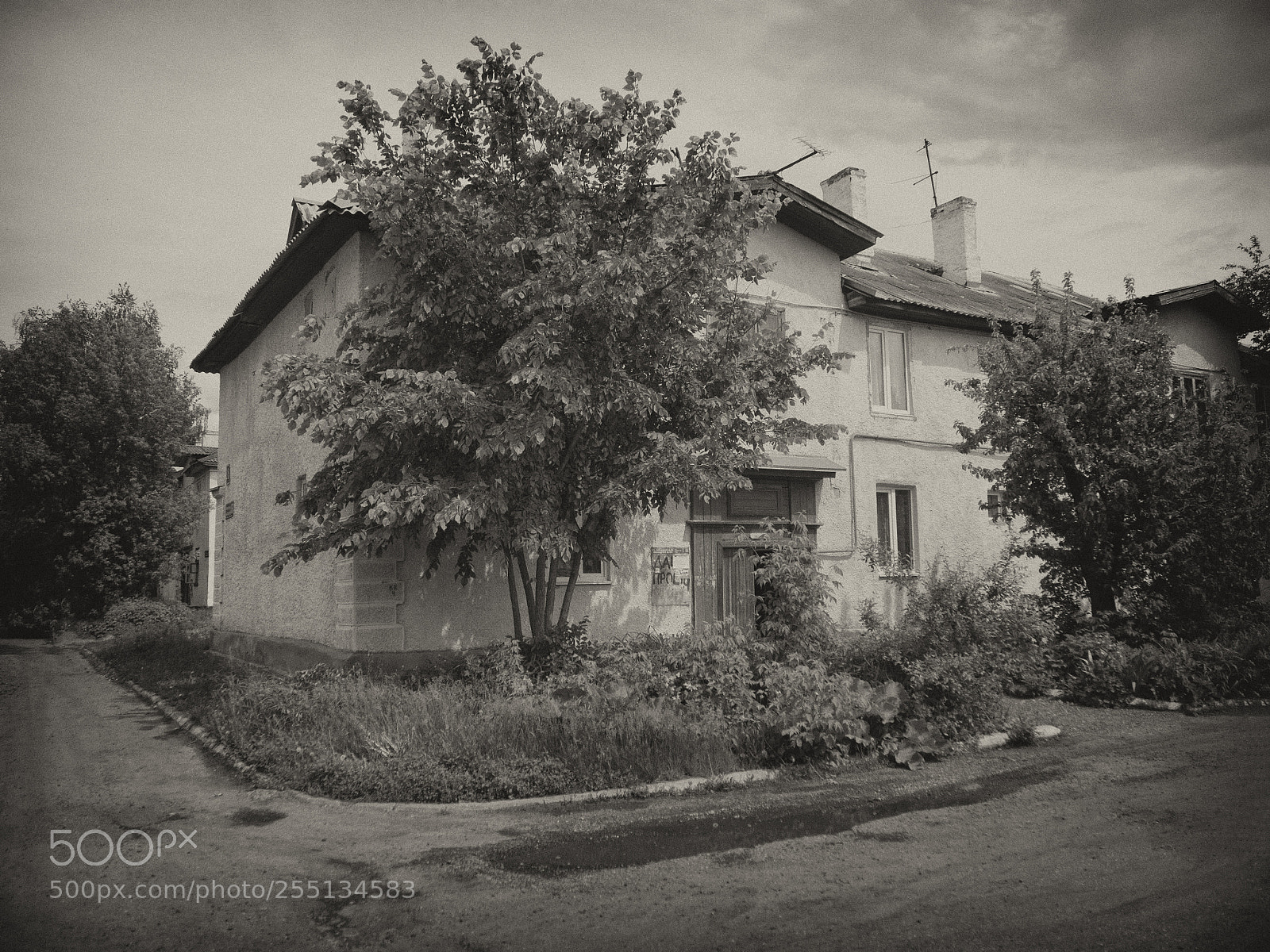 Olympus OM-D E-M10 sample photo. Old house photography