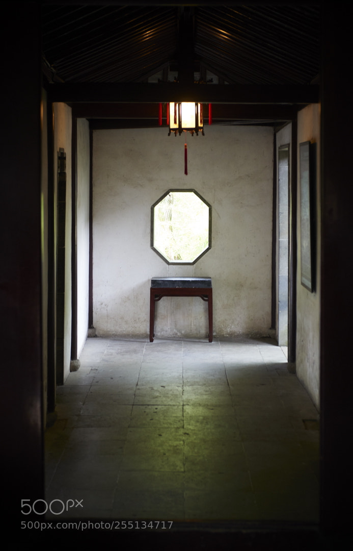 Nikon D800 sample photo. Classic gardens of suzhou photography