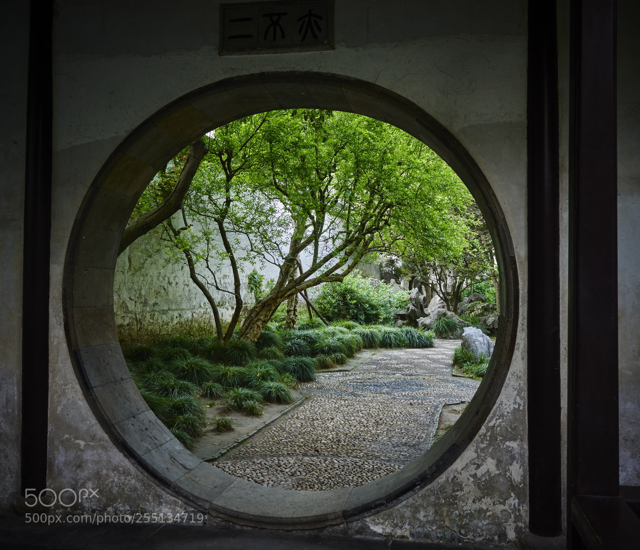 Nikon D800 sample photo. Classic gardens of suzhou photography