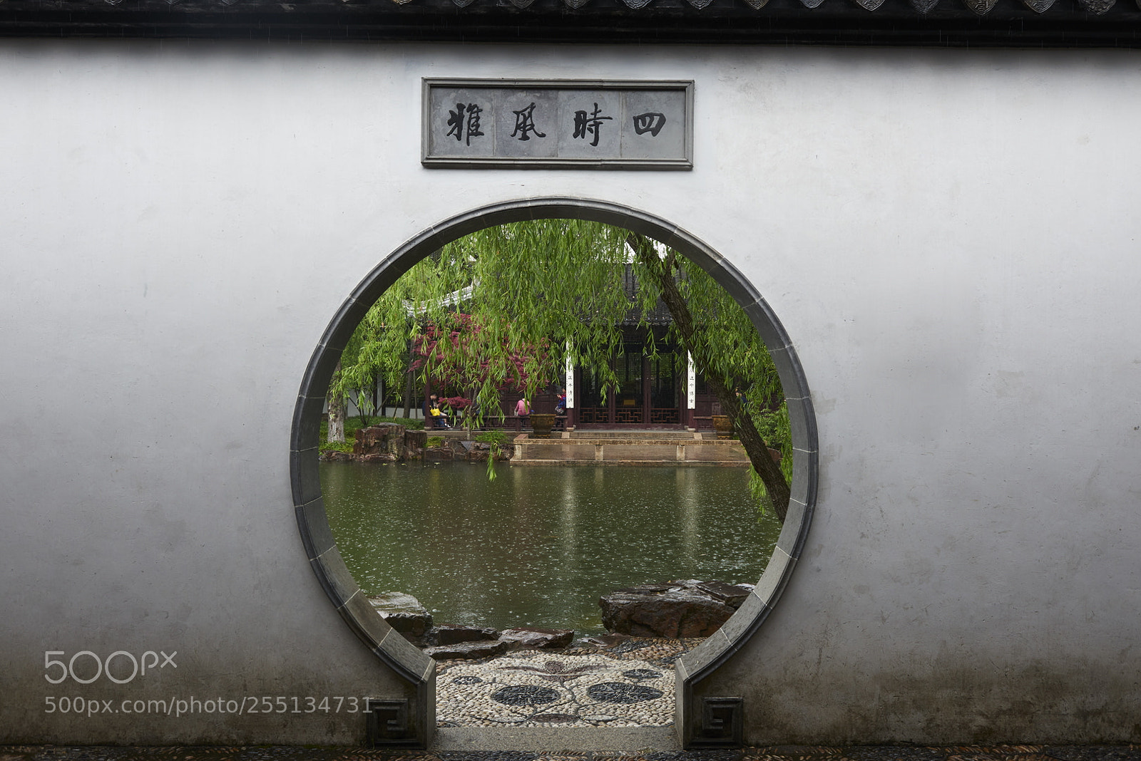 Nikon D800 sample photo. Classic gardens of suzhou photography