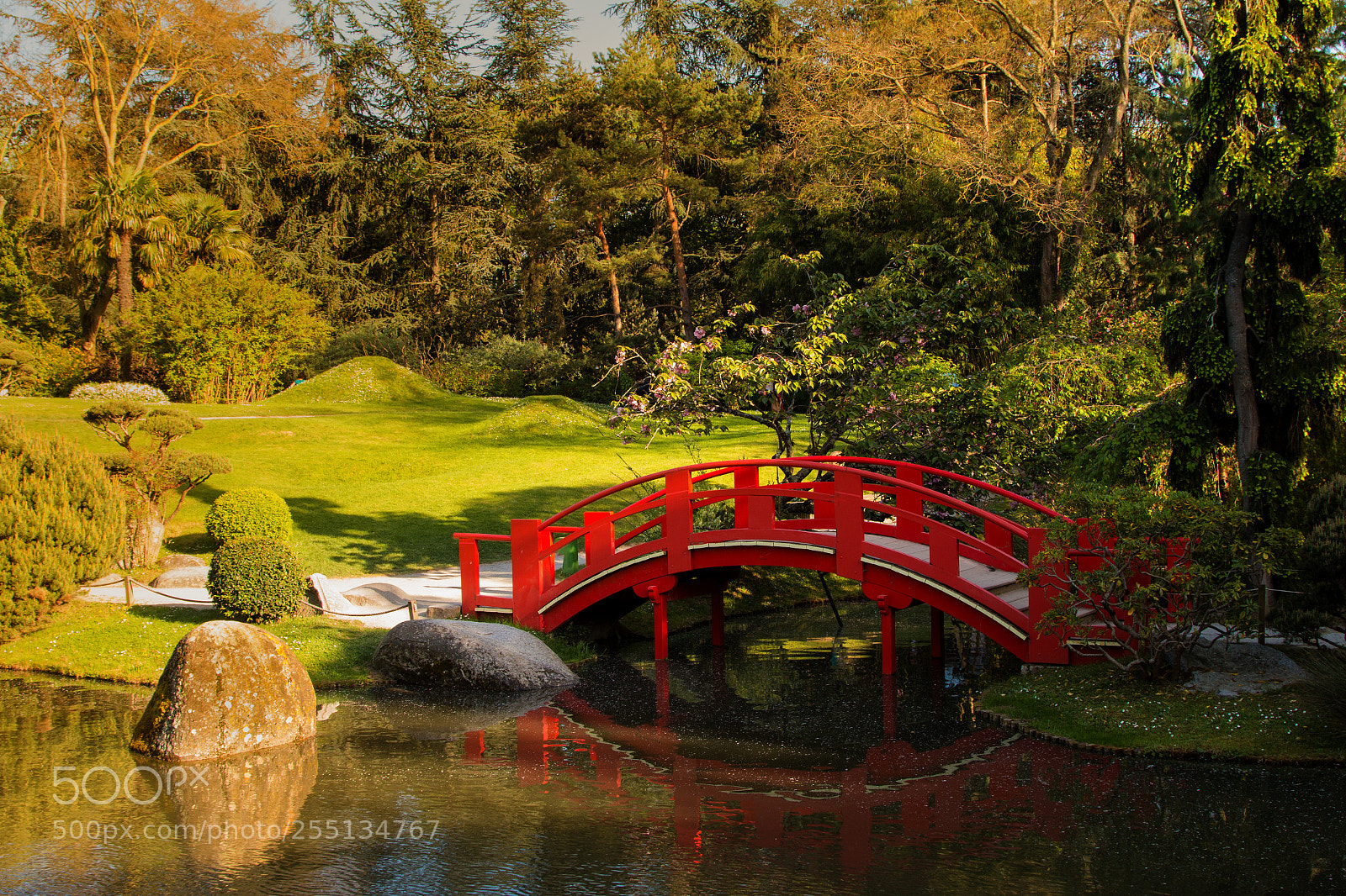 Canon EOS 70D sample photo. Jard n japon s photography