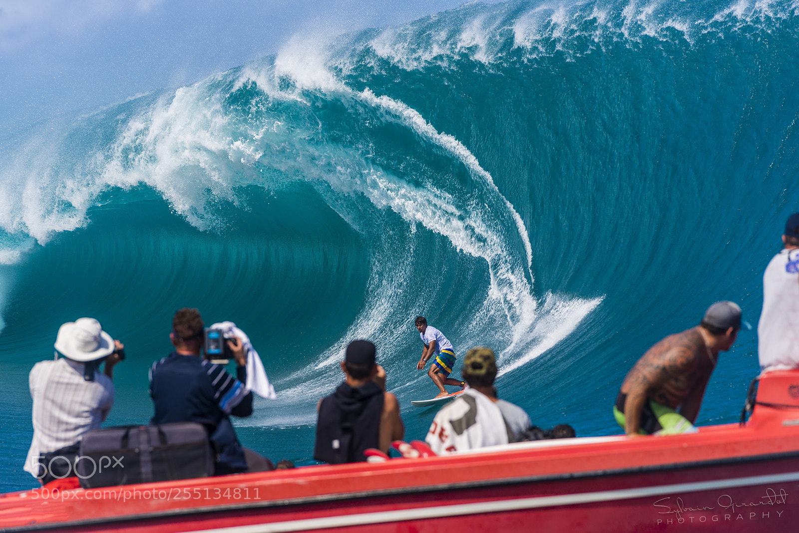 Nikon D800 sample photo. The wave photography