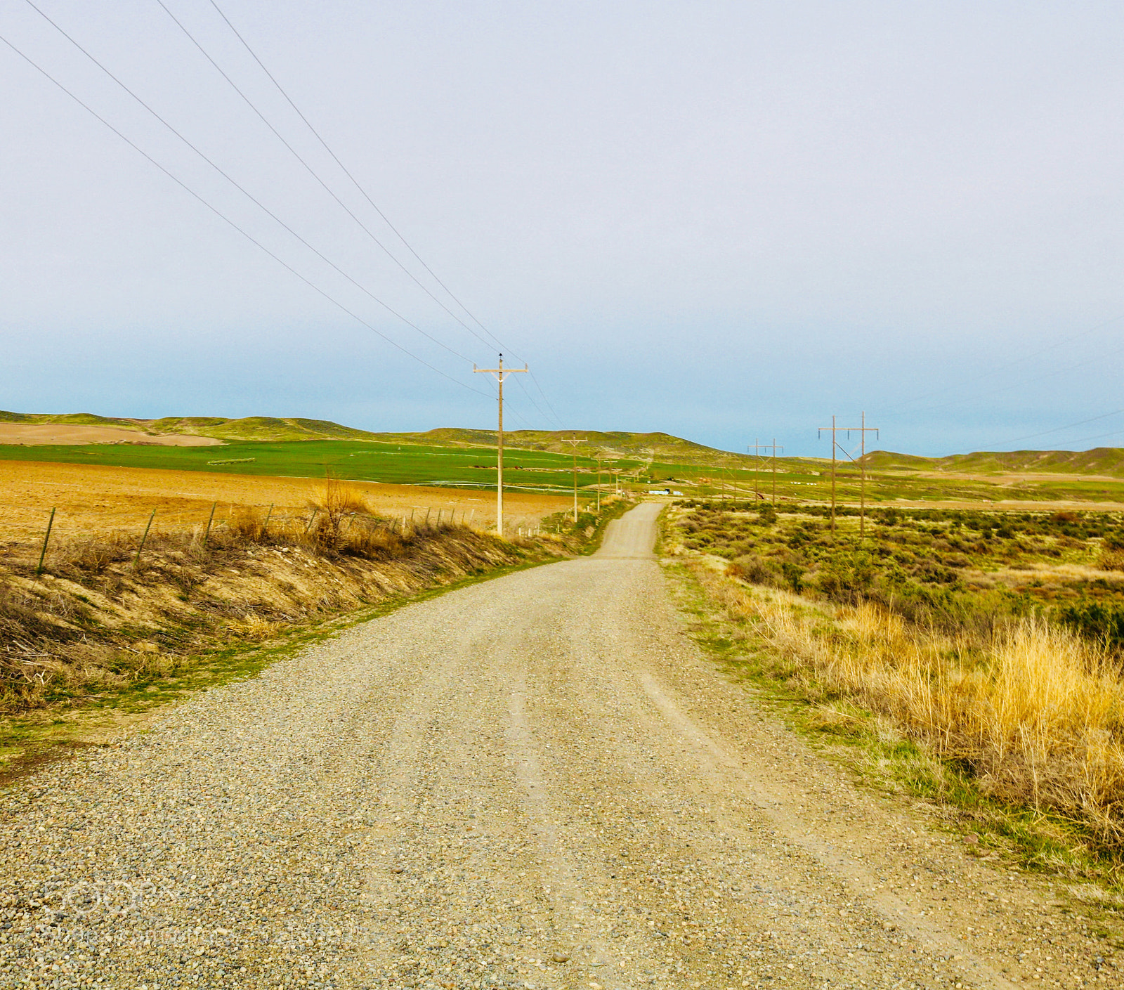 Canon EOS 750D (EOS Rebel T6i / EOS Kiss X8i) sample photo. Road on the way photography