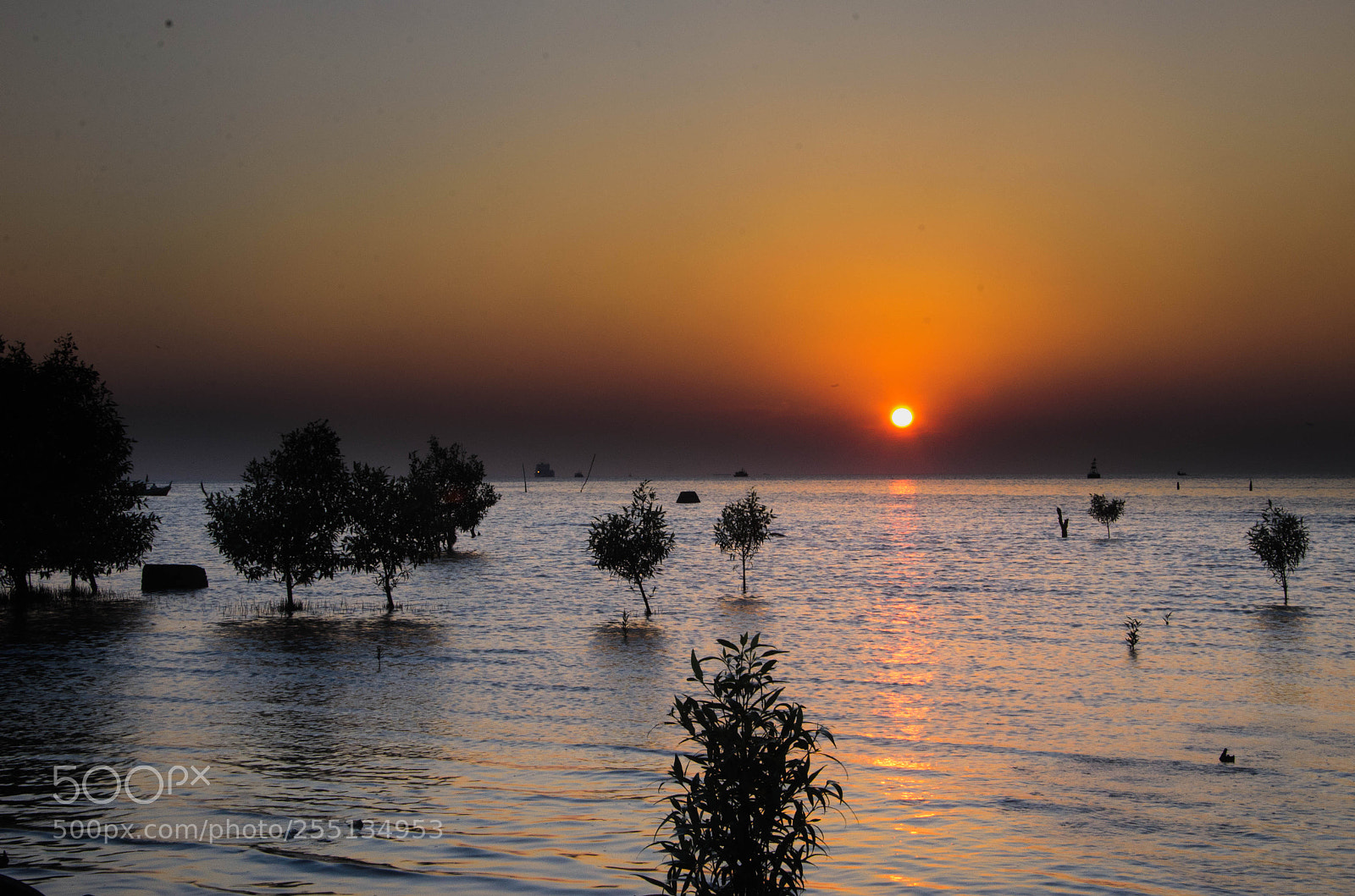 Nikon D7000 sample photo. Sunset at kuala kedah photography