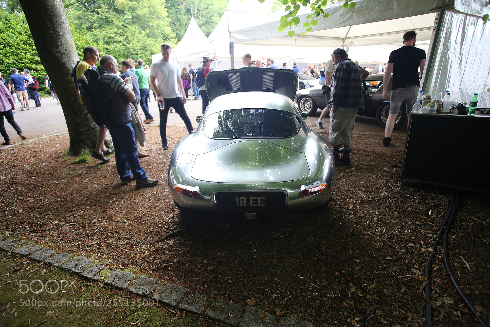 Canon EOS 6D + Canon EF 17-40mm F4L USM sample photo. Goodwood festival of speed photography