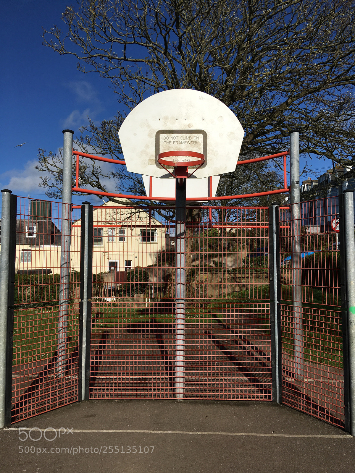 Apple iPhone SE sample photo. Shoot for the hoop photography