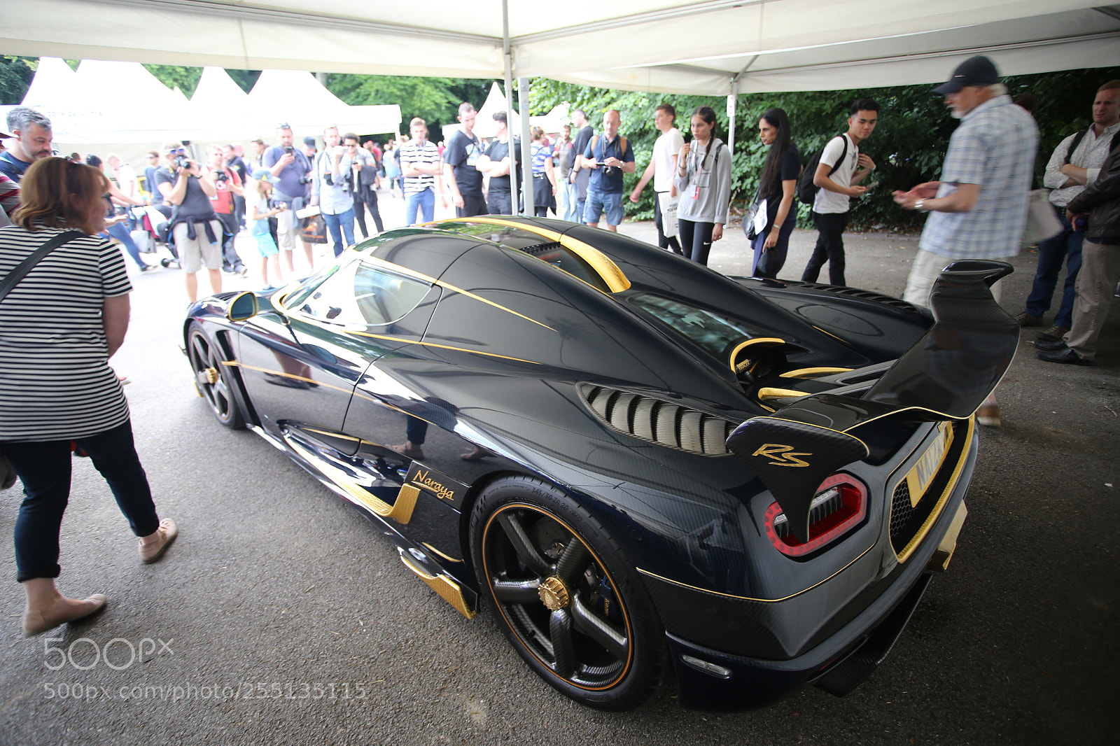Canon EOS 6D + Canon EF 17-40mm F4L USM sample photo. Goodwood festival of speed photography