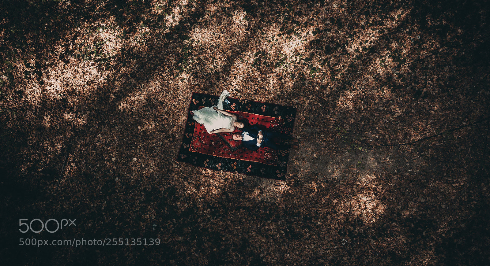 DJI FC220 sample photo. Together photography