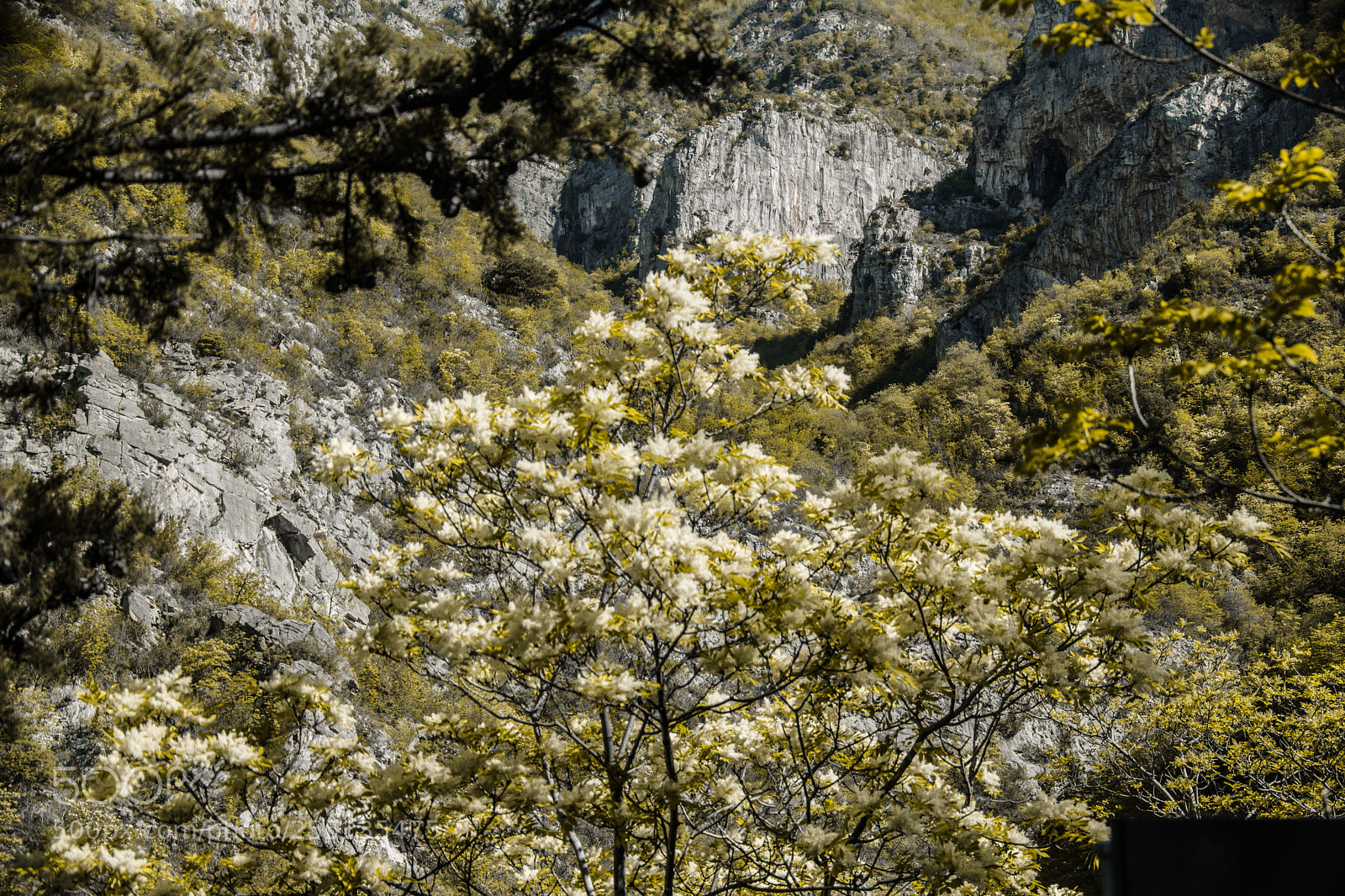 Sony a5100 sample photo. Travel to genova photography