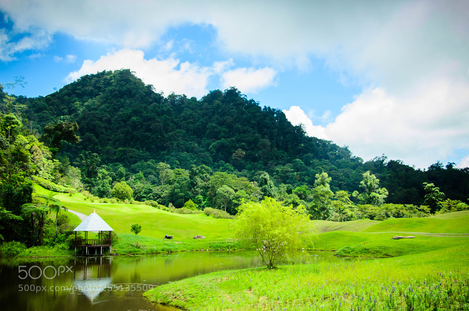Nikon D7000 sample photo. Beautiful borneo highland photography