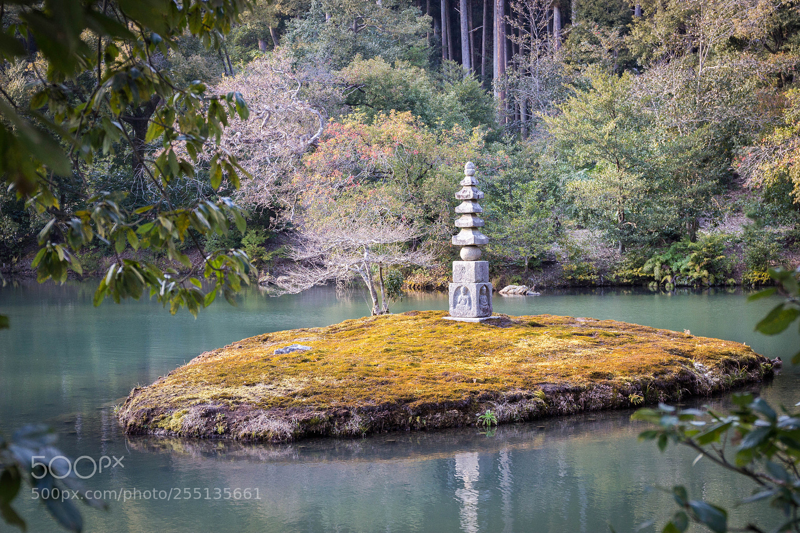 Canon EOS 600D (Rebel EOS T3i / EOS Kiss X5) sample photo. Kinkaku ji garden photography