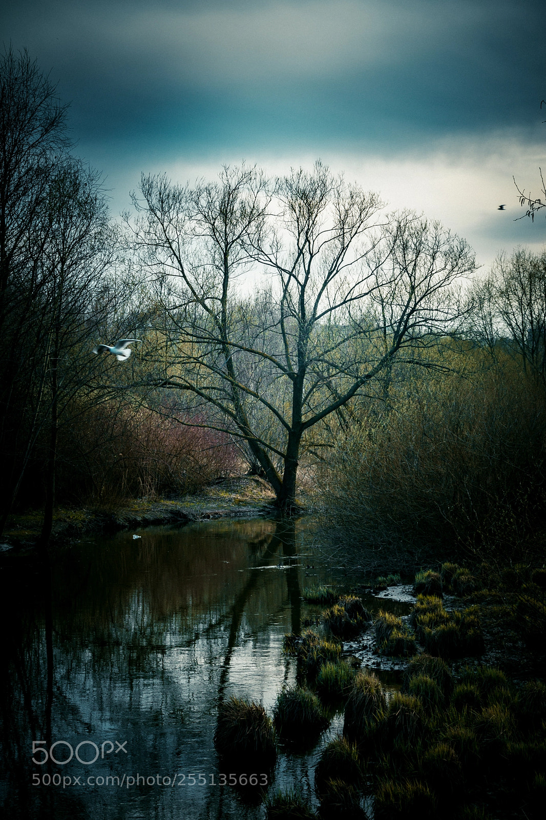 Nikon D7200 sample photo. Untitled photography