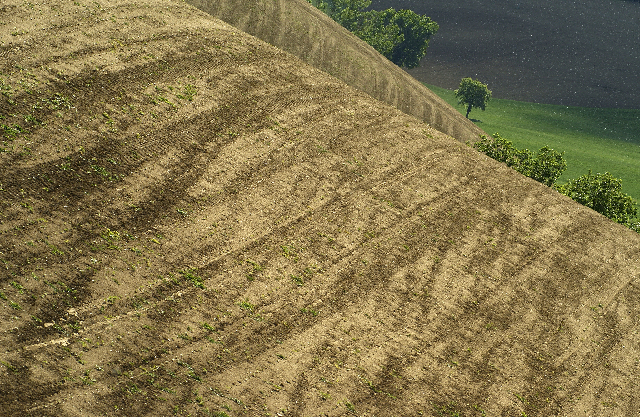 Sigma 70-210mm F4-5.6 APO sample photo. * photography