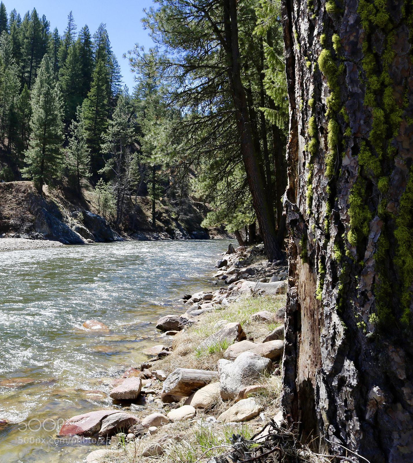 Canon EOS 750D (EOS Rebel T6i / EOS Kiss X8i) sample photo. River side photography