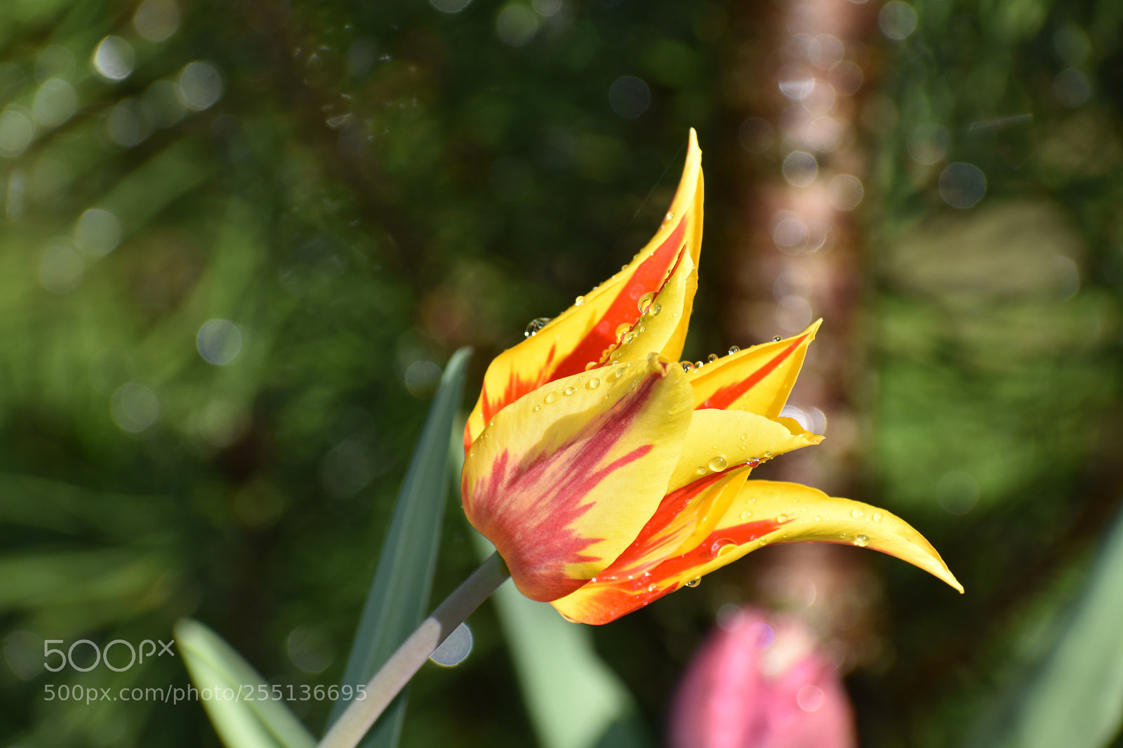 Nikon D3400 sample photo. Untitled photography