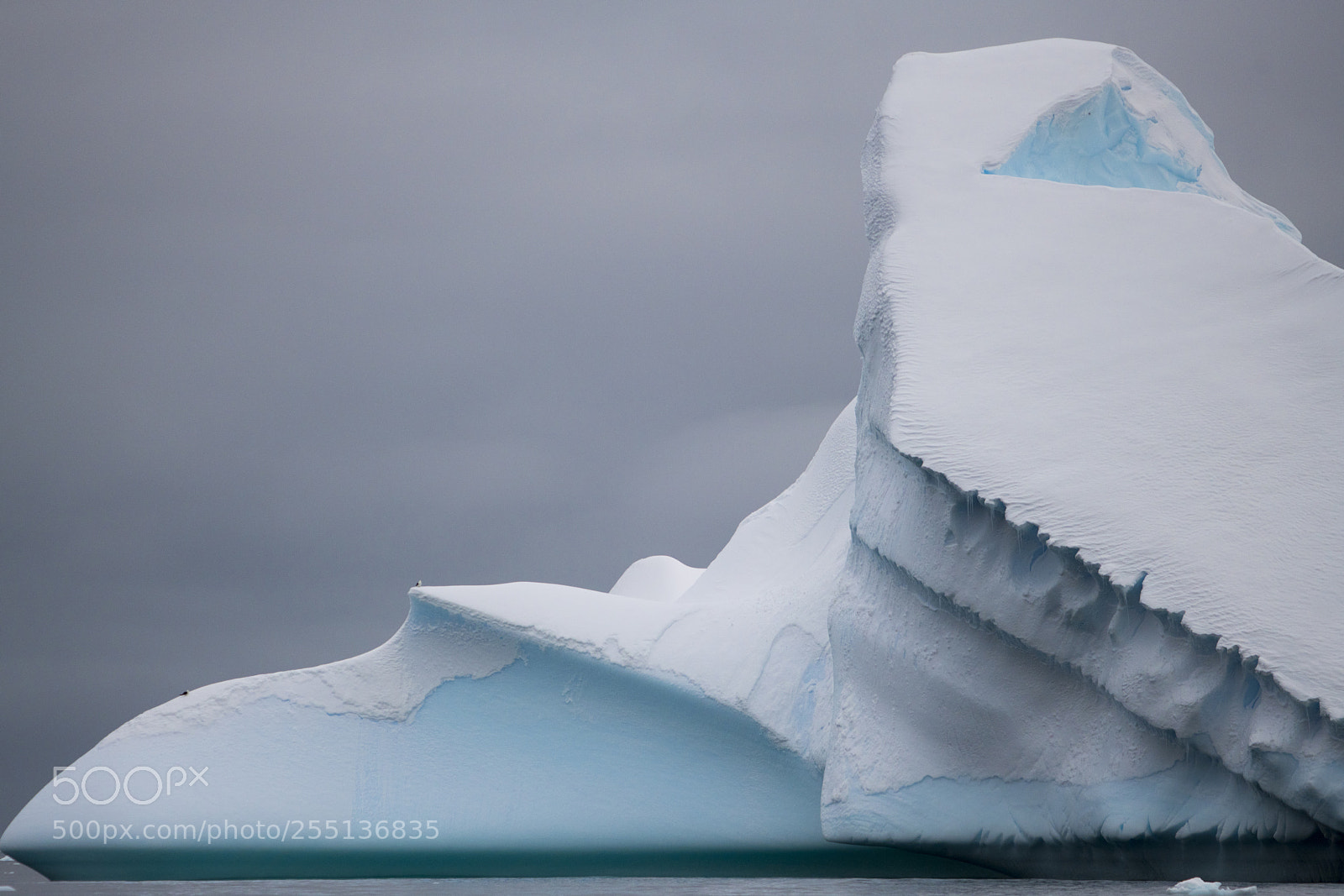 Nikon D850 sample photo. Lone iceberg in antarctica photography