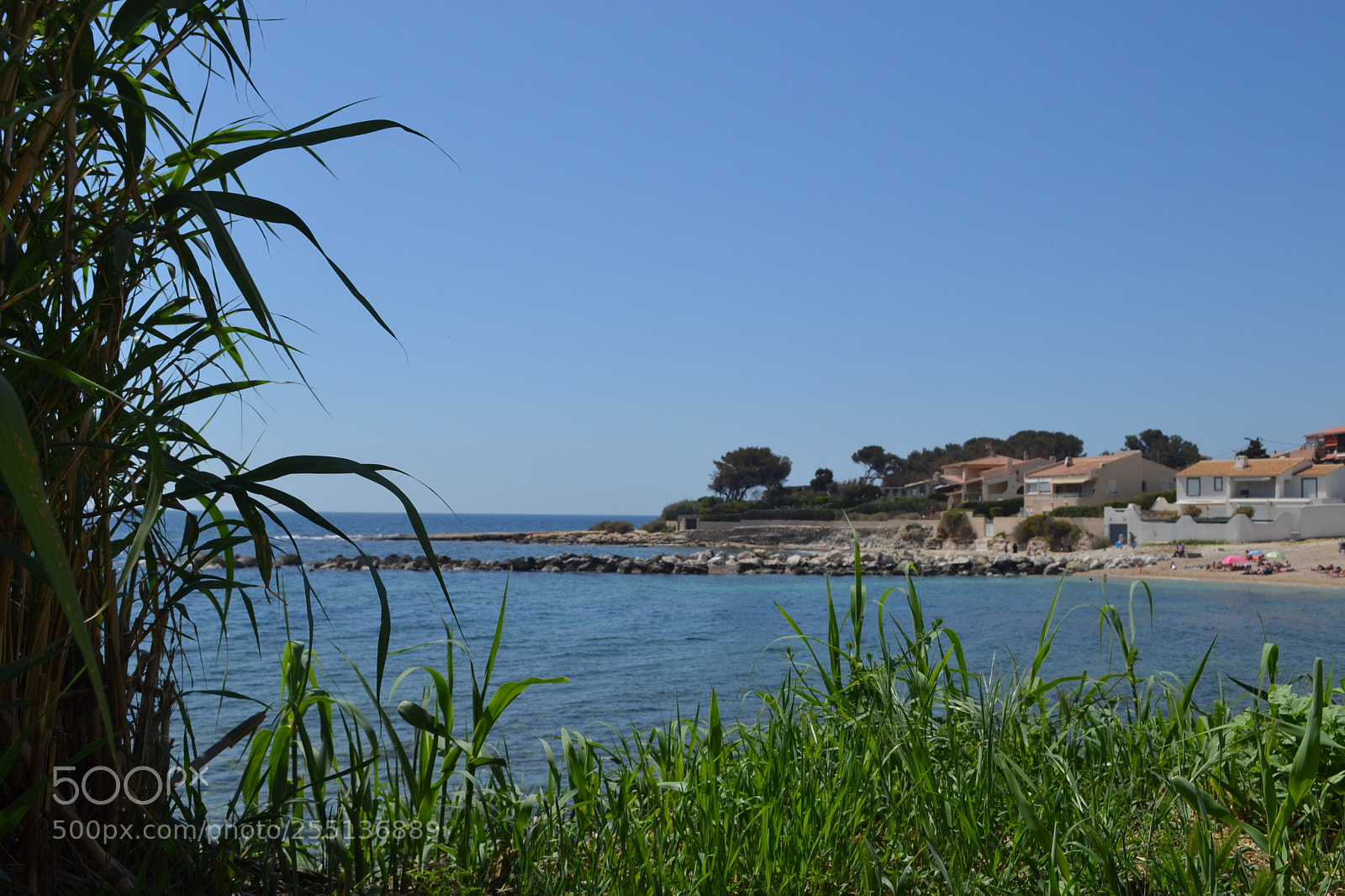 Nikon D3100 sample photo. Untitled photography