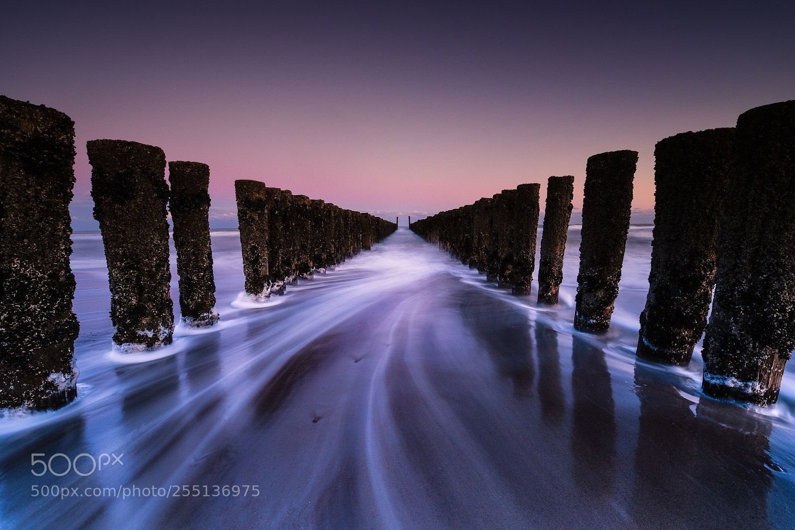 Nikon D810 sample photo. Domburg morning  photography