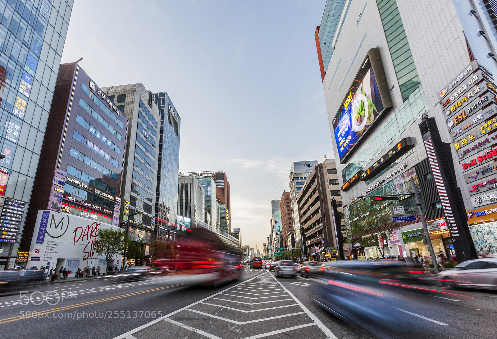 Canon EOS 5D Mark II sample photo. 강남역 photography