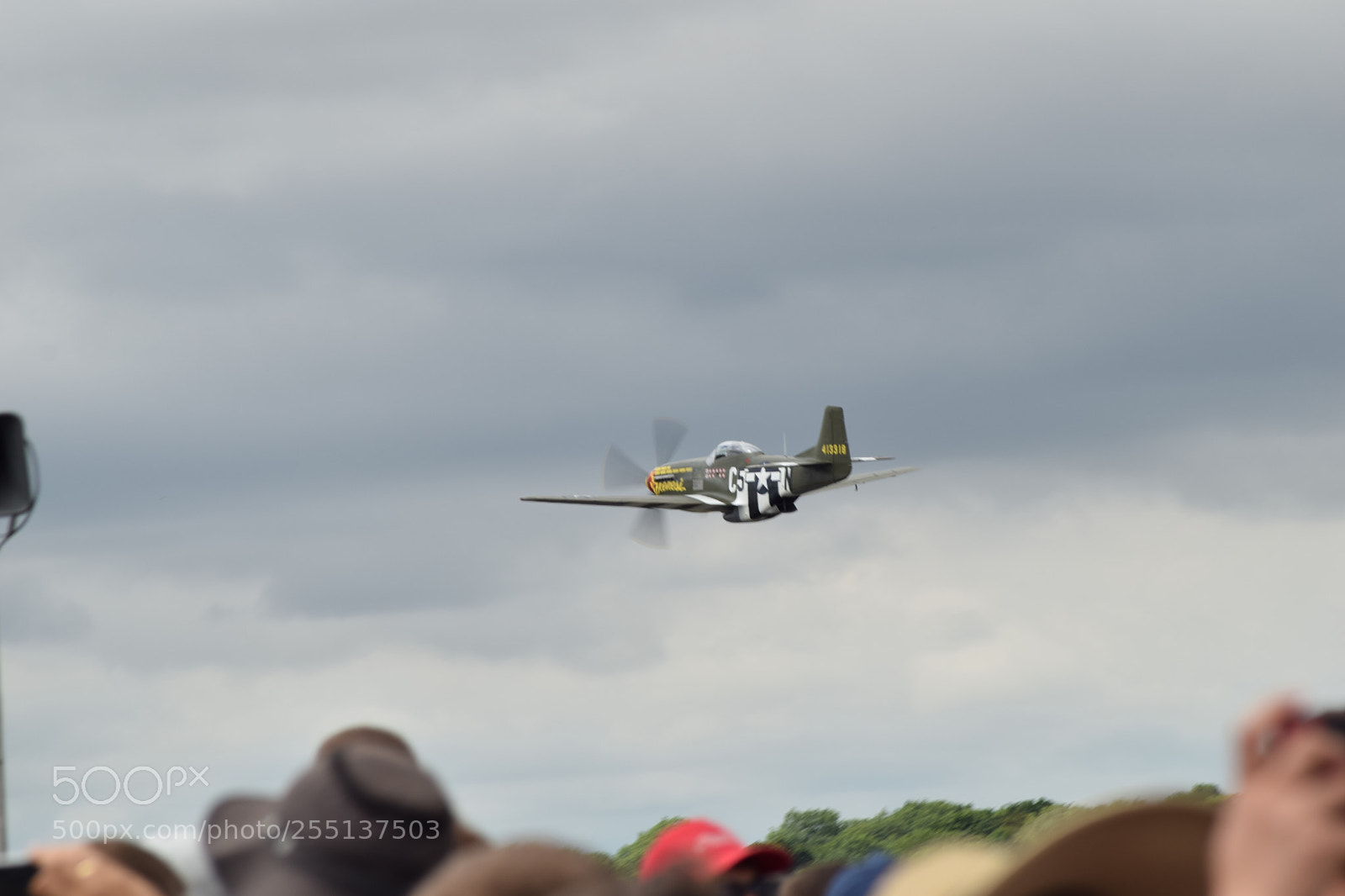 Nikon D3300 sample photo. Low fighter photography