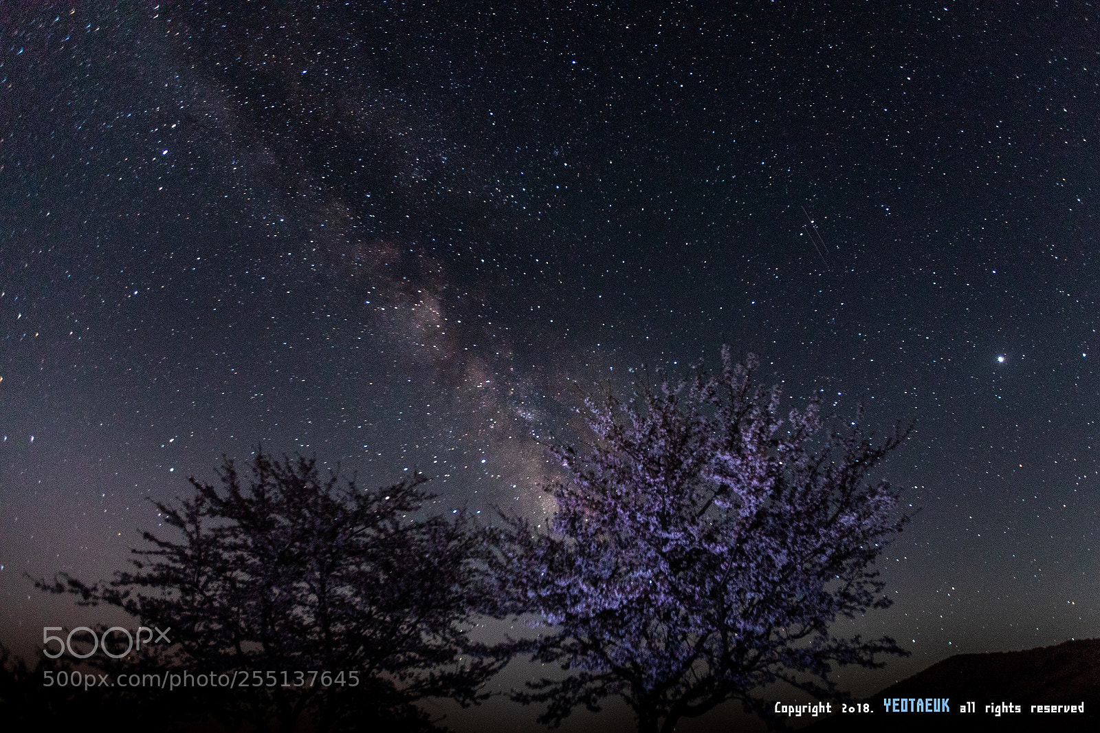 Canon EOS 5D Mark IV sample photo. Milkyway photography