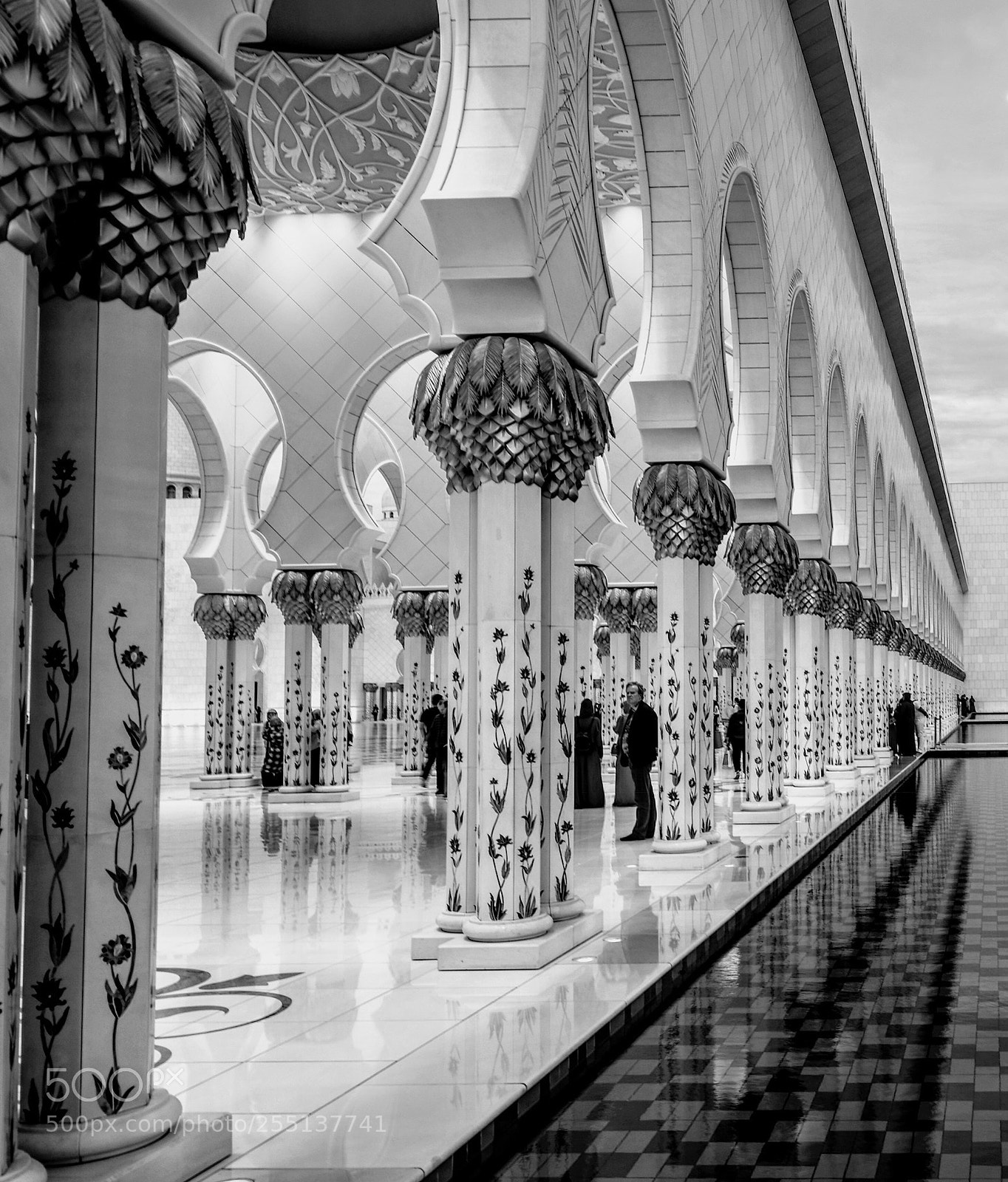 Nikon D850 sample photo. Sheikh zayed grand mosque photography