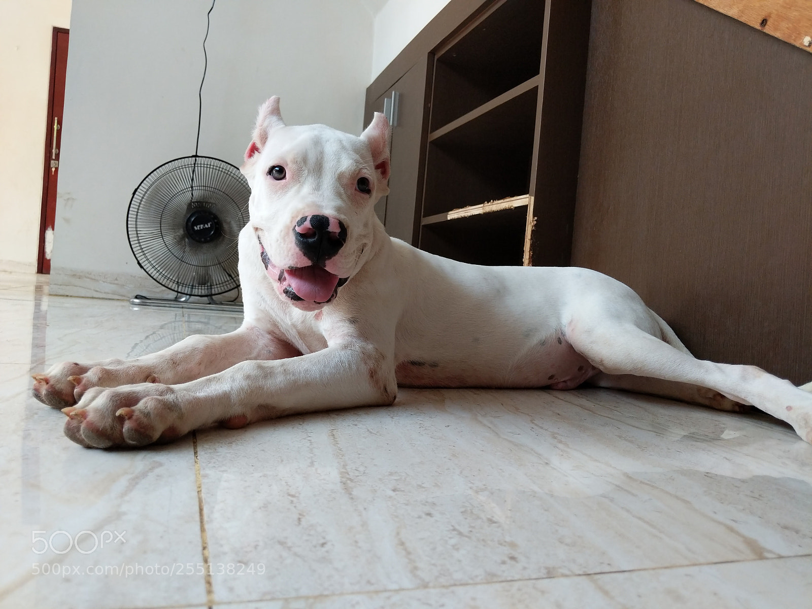 Google Pixel 2 XL sample photo. Untitled photography