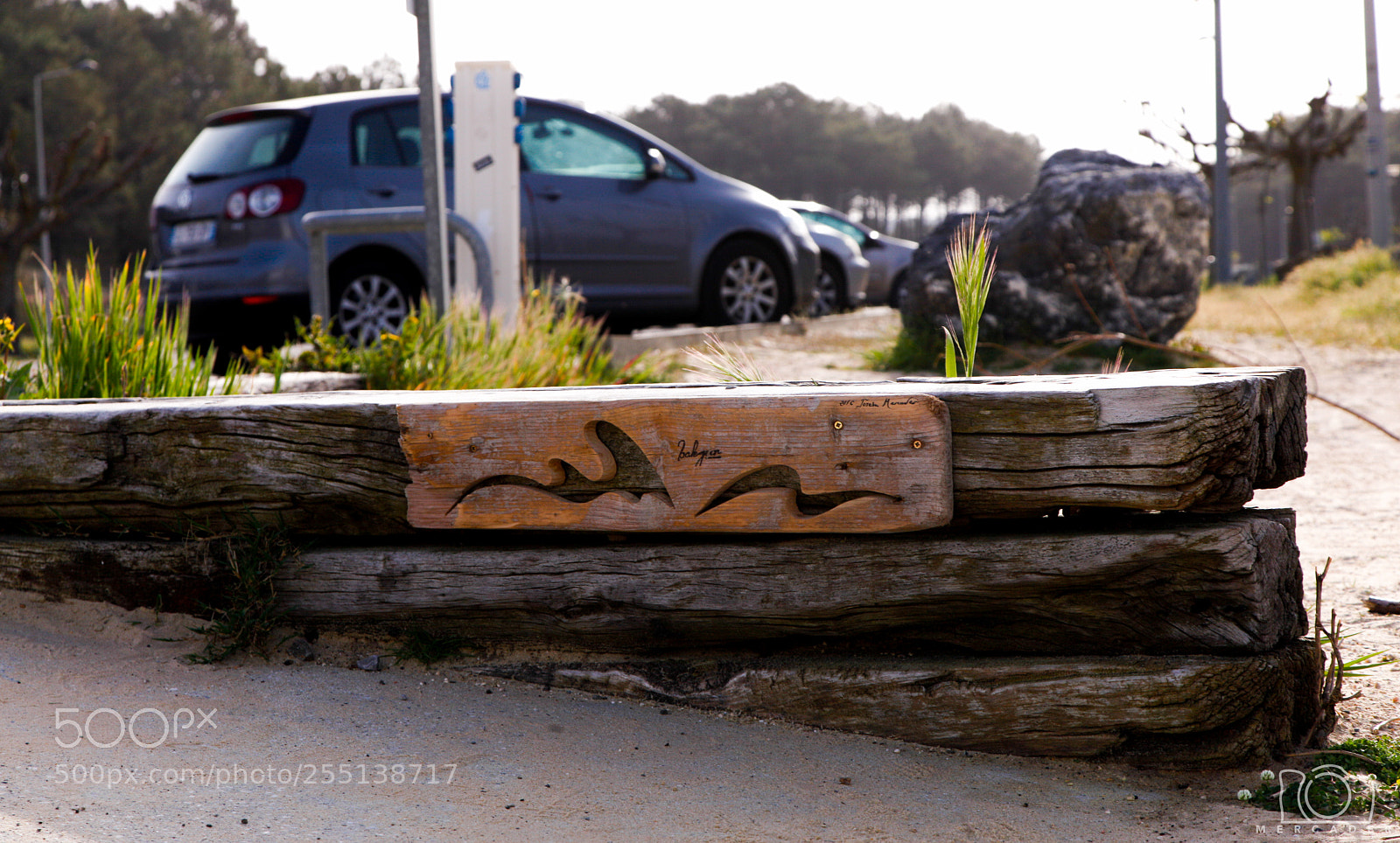 Canon EOS 5D Mark II sample photo. Balegur en saint-girons landas photography