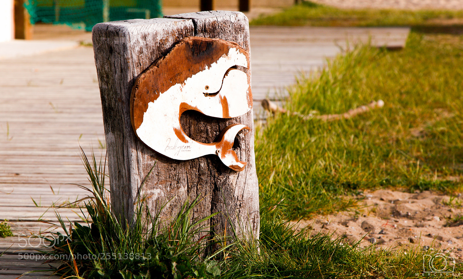 Canon EOS 5D Mark II sample photo. Balegur en saint-girons landas photography
