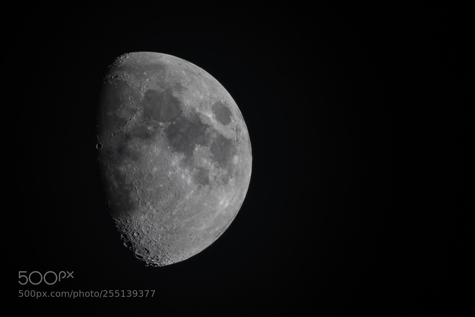 Canon EOS 5D Mark IV sample photo. Moon over zurich photography