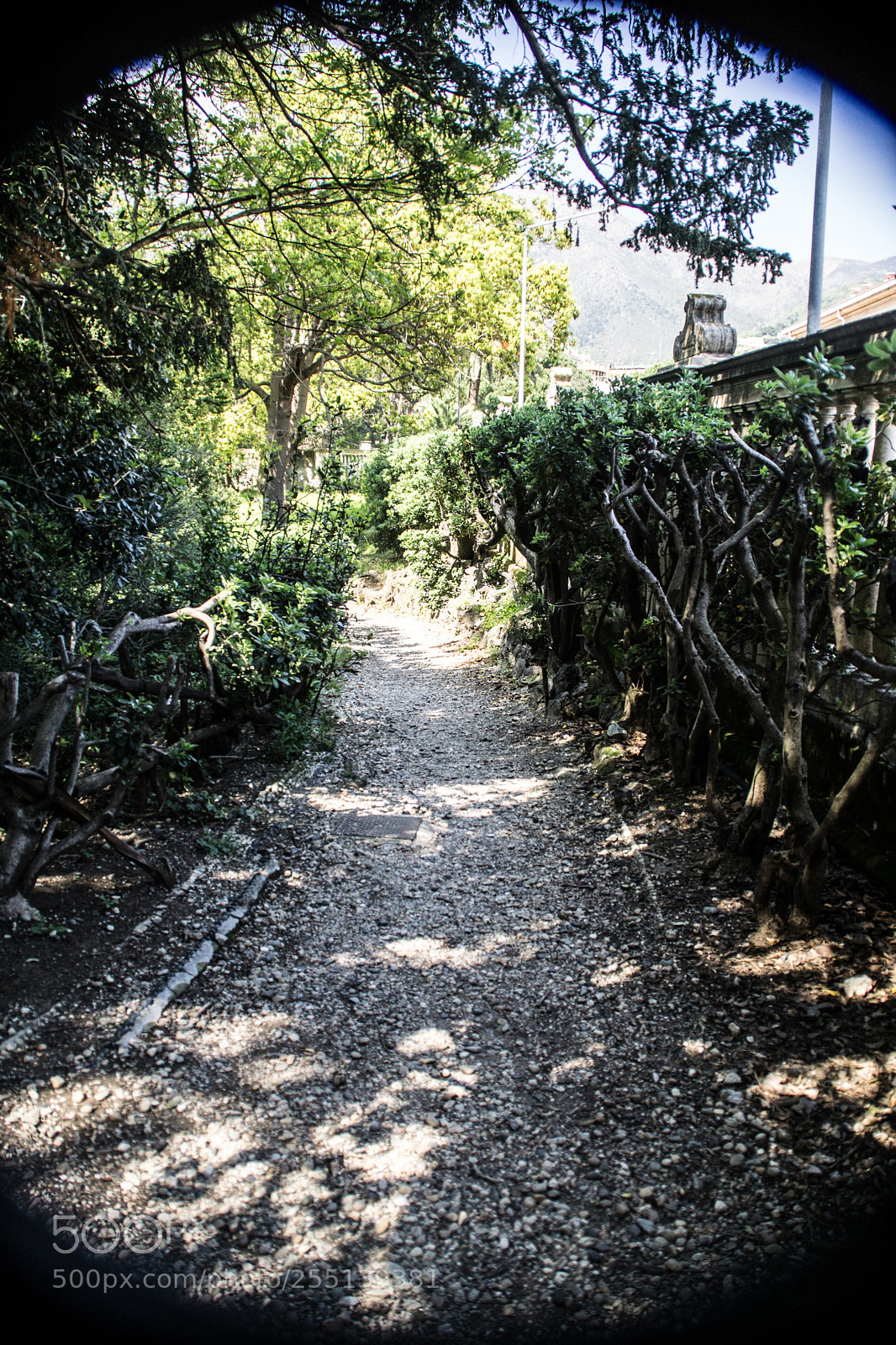 Sony a5100 sample photo. Travel to genova photography