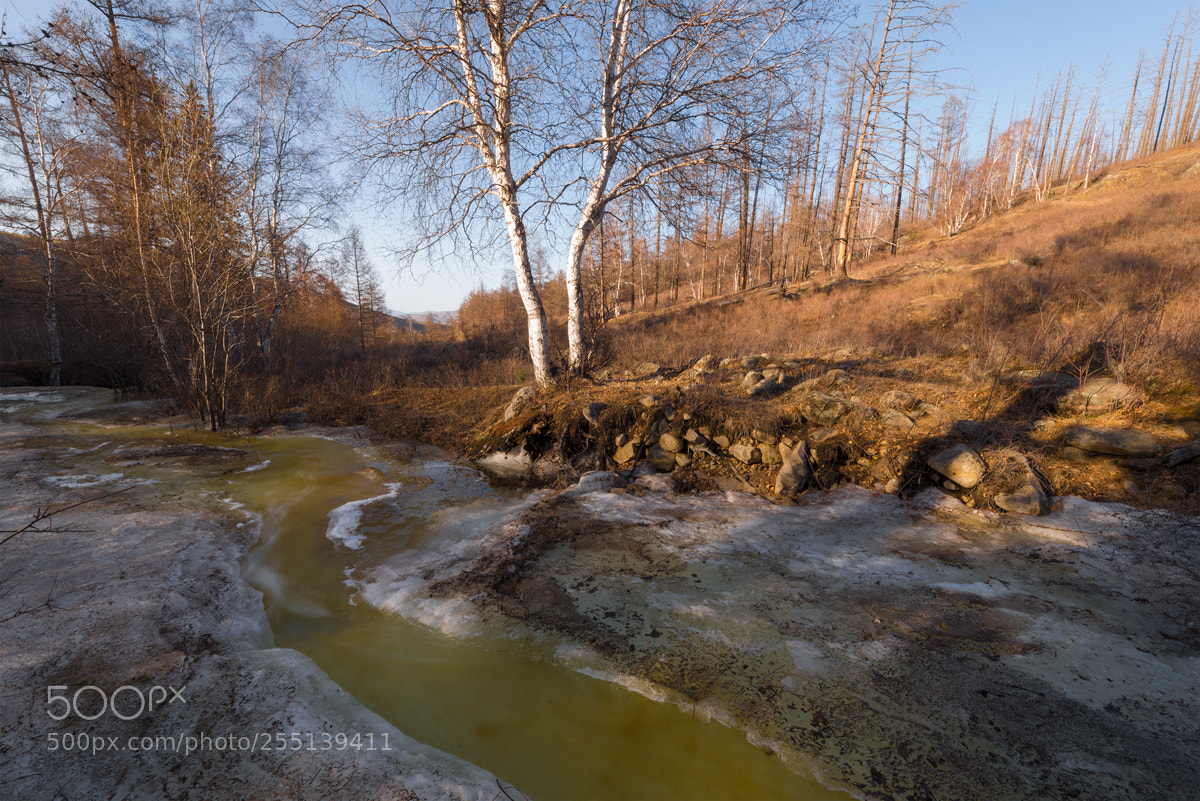 Nikon D800 sample photo. Mountain forest river photography