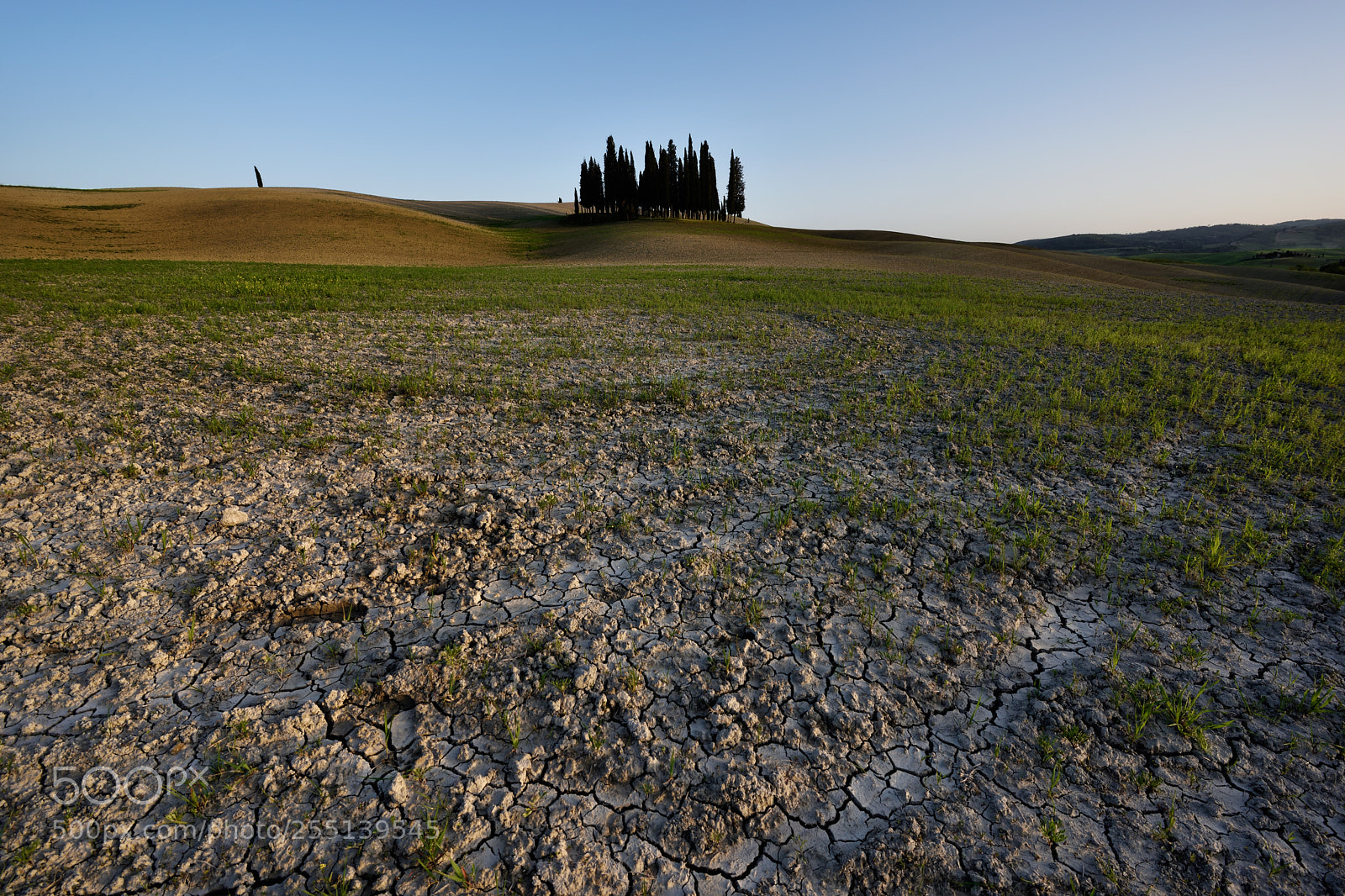 Nikon D810 sample photo. In sky and earth photography