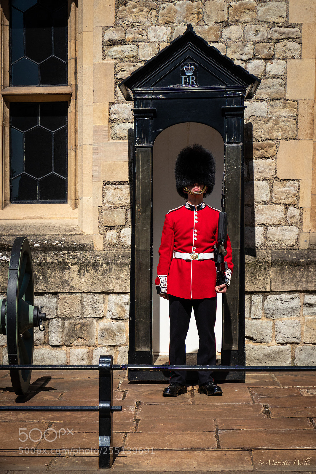 Canon EOS M5 sample photo. A guard in front photography