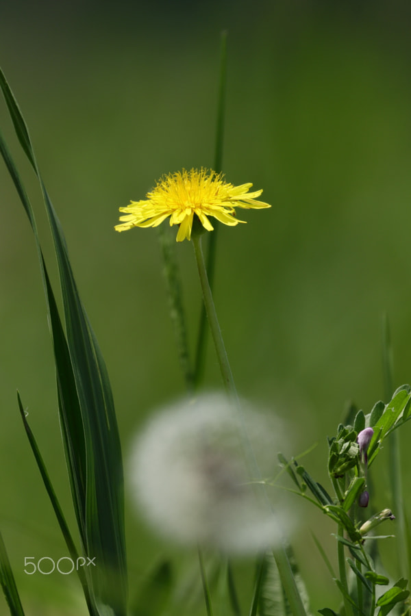 四草photos 500px